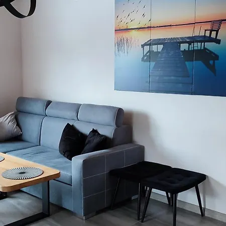 Dağ evi Viking Z Prywatnym Ogrzewanym Basenem Sauna Oraz Balia Z Jacuzzi Gródek Nad Dunajcem